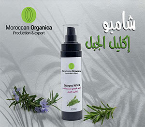 rosemary treatment shampoo for hair loss